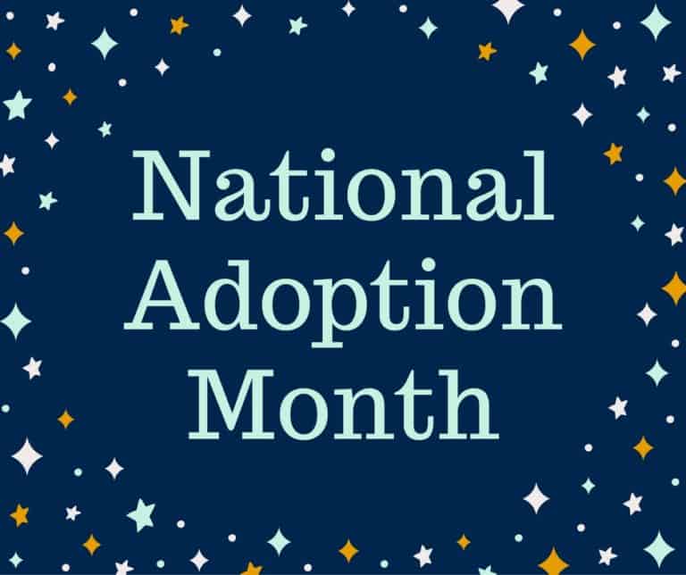 nationaladoptionmontharticlepreviewphoto New Life Family Services